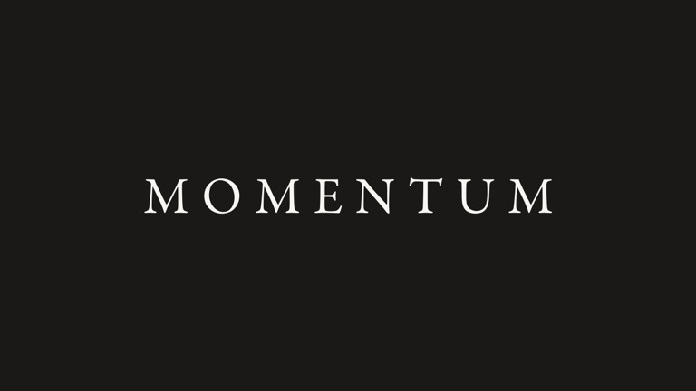 Momentum